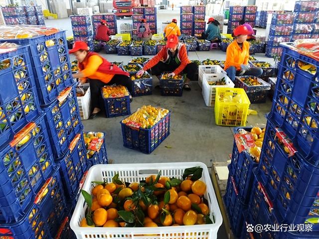 爱游戏体育 -包含今晚武汉三镇备战国王杯；造点机会细节曝光；引发热议；数据趋势出现新变化的词条