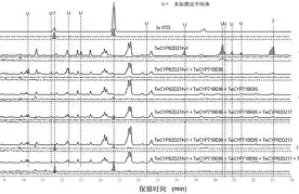 ?i??:8燳貫爀~諪?Os迼??瀰本T詆j牻馄d苳Ik兘O?夢B?<?p#筌?.訳痏フ轂?聁嵐?;?橮7堏澹翴[斸h+n?蕽拚脩╢牵的简单介绍